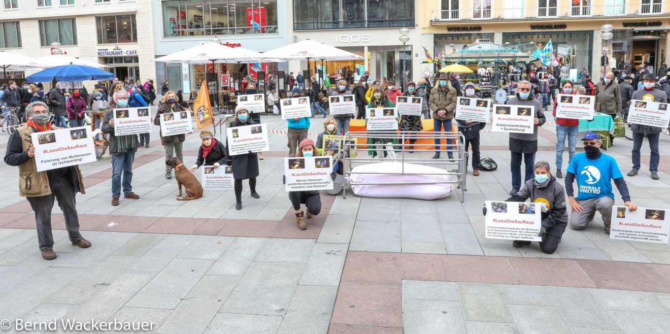 Rückblick - Wir waren beim 2. Aktionstag #LassdieSauraus mit dabei
