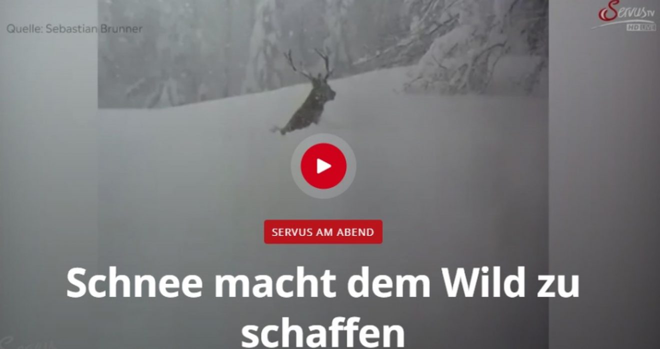 Beitrag in Servus TV - Nachtrag zur Situation in Kärnten