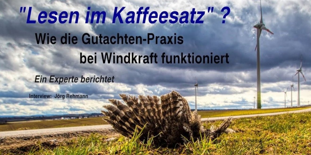 Artenschutz nicht leichtfertig aufgeben! Auch nicht für Windkraft!