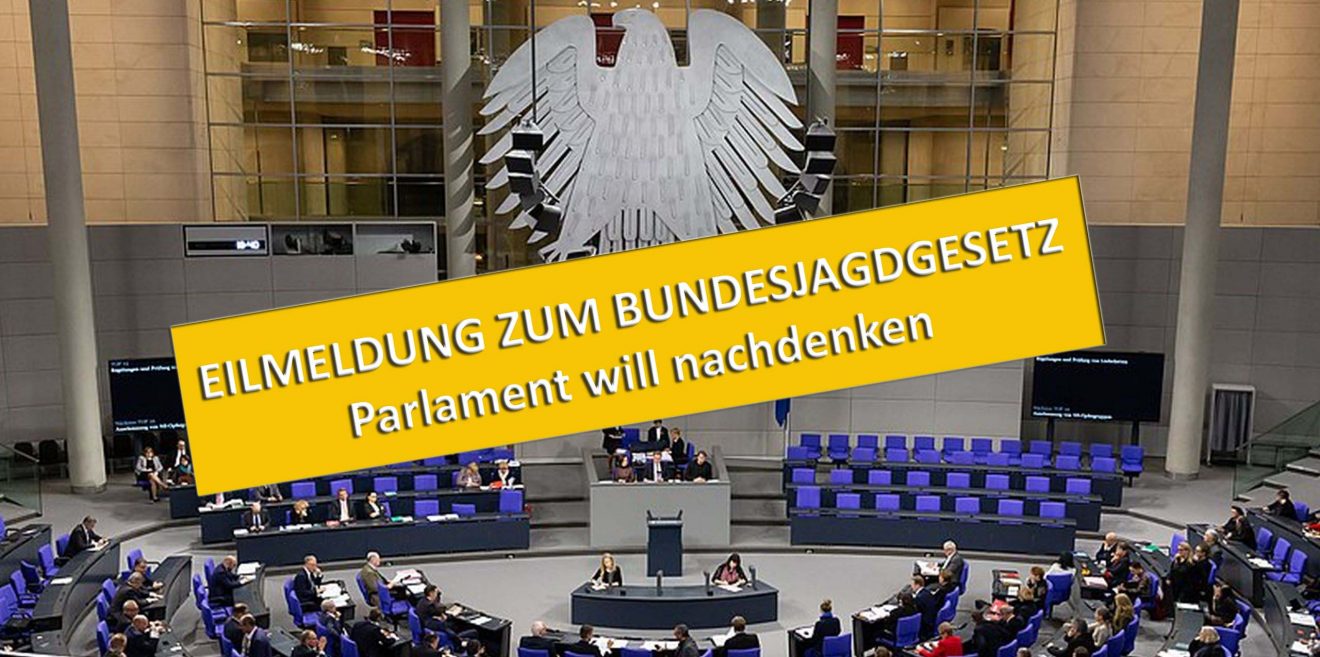EILMELDUNG - Bundesjagdgesetz – Parlament will nachdenken!