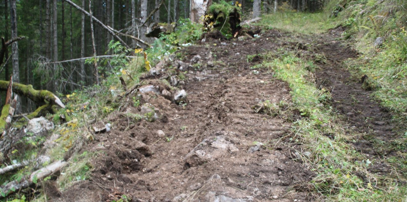 Schützt den Wald - lasst keine Förster mehr rein