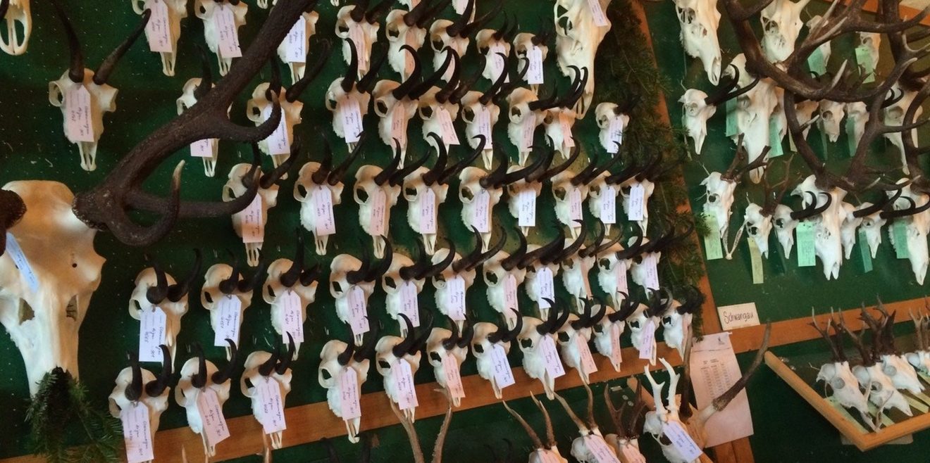 16. März - Recht auf Wissen - Tag der Informationsfreiheit