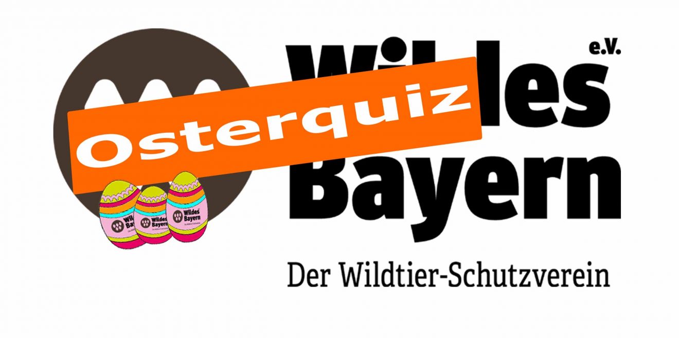 Osterquiz - „Alle Vögel sind schon da – und hoffentlich nicht für immer weg!“ TEIL I