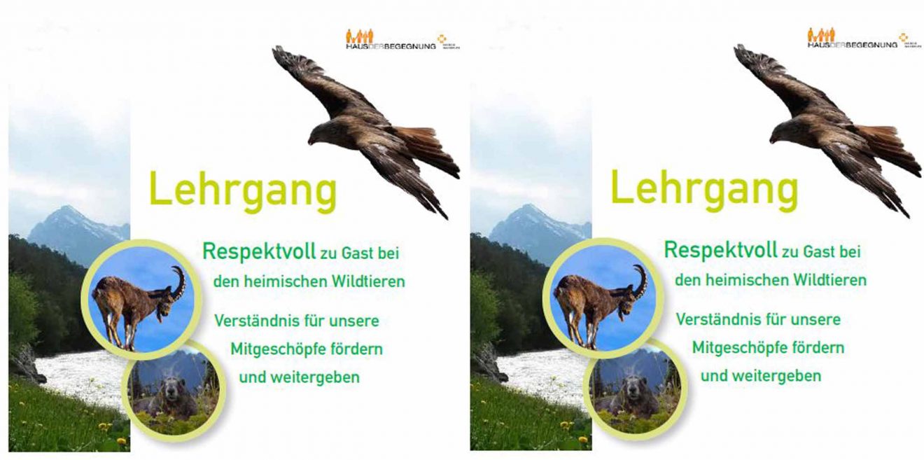 Lehrgang - Respektvoll zu Gast bei den heimischen Wildtieren