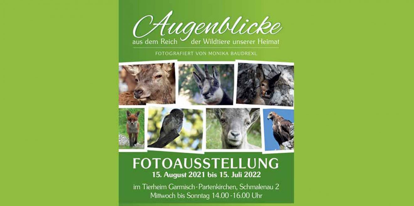 (c)Wildes Bayern - Fotoausstellung Monika Baudrexl Tierheim Garmisch