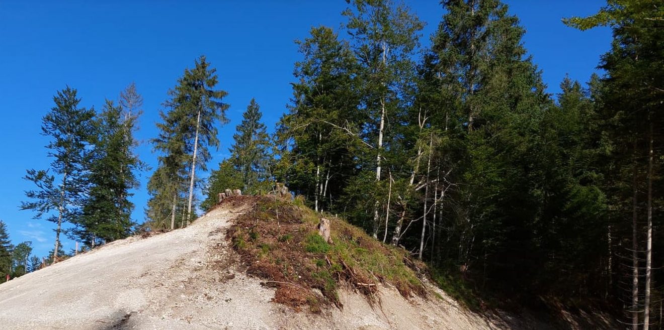 Ab Zeitpunkt 5:25 - Forstnutzung und Natura2000