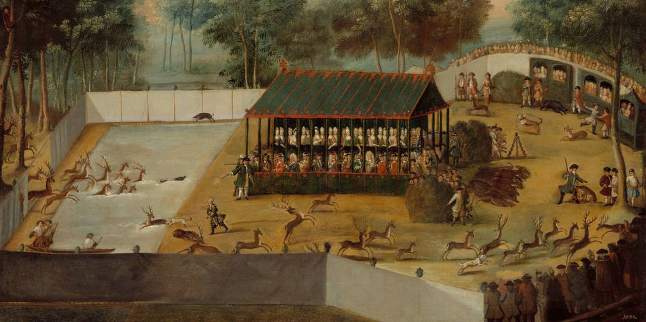 Sachsenforst: Drückjagden im April und Mai