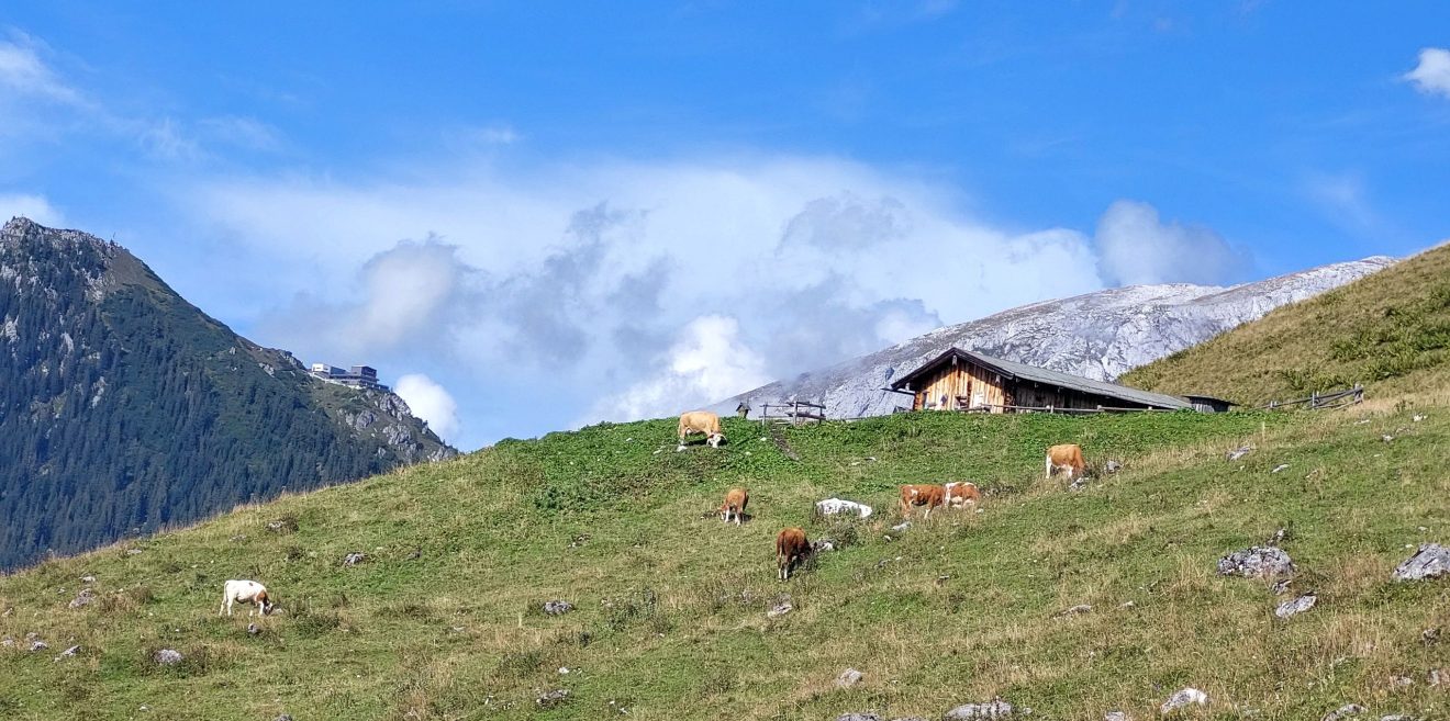 (c)be-outdoor.de