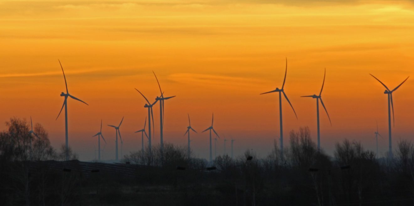 Waldpoet.de - ＂Windkraft im Wald: Klimapolitik auf dem Holzweg?＂
