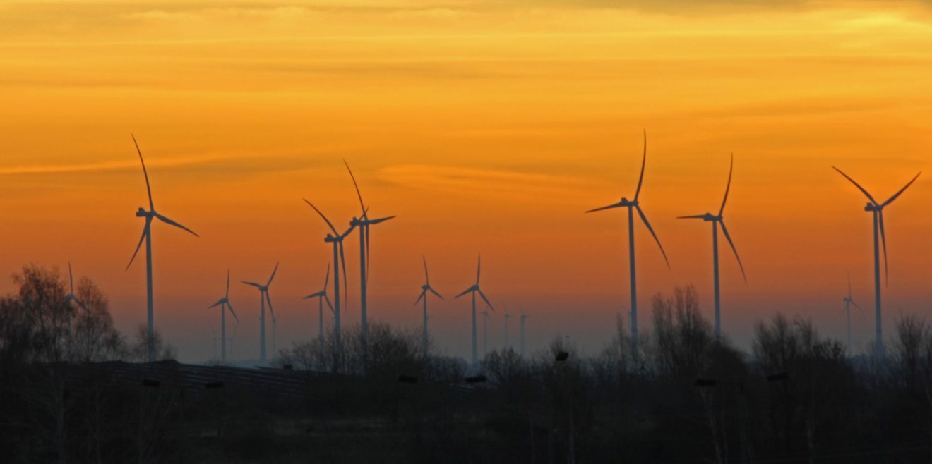 Waldpoet.de - ＂Windkraft im Wald: Klimapolitik auf dem Holzweg?＂