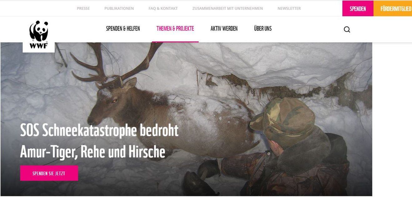 WWF bittet um Spenden für Winterfütterung