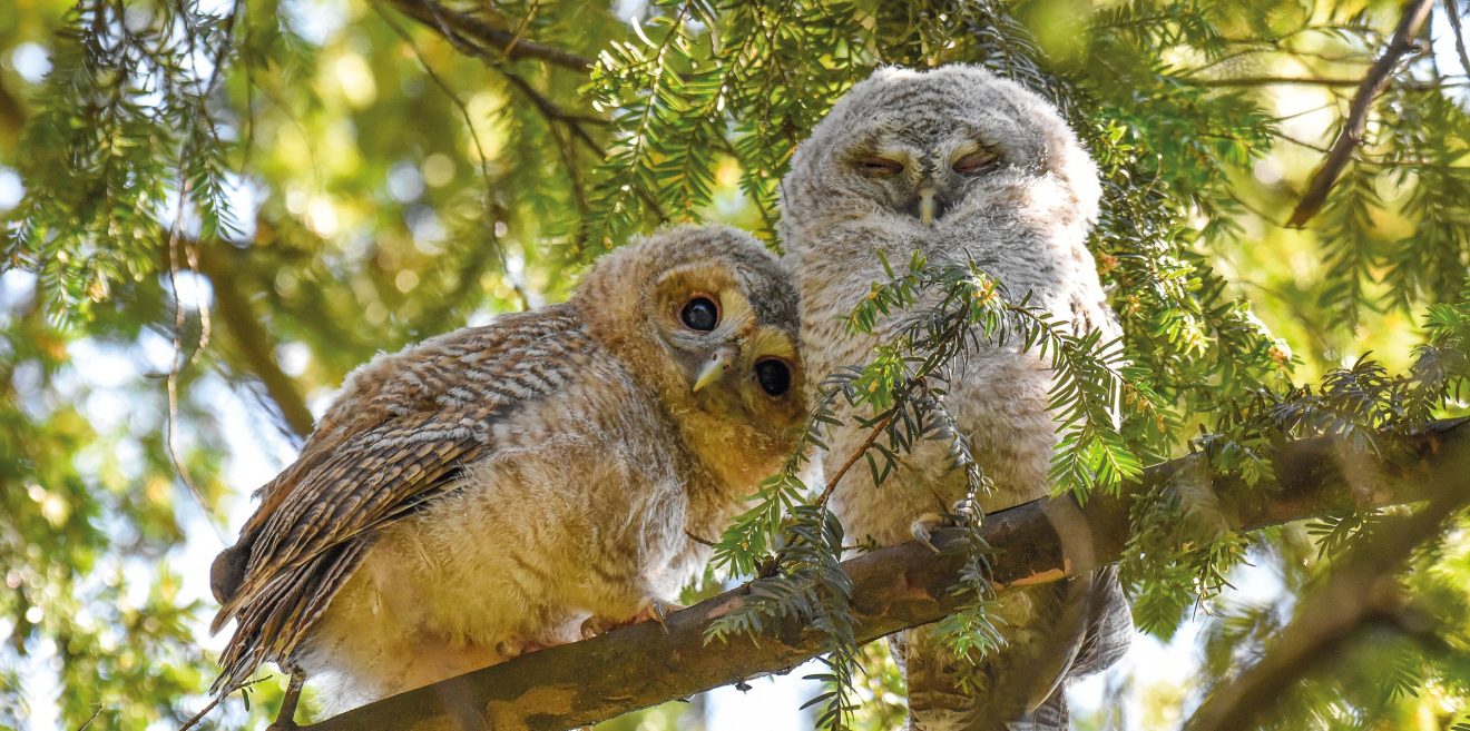 Schau doch mal hin! Start des 16. Fotowettbewerbs ＂Natur im Fokus＂ für Kinder und Jugendliche aus Bayern