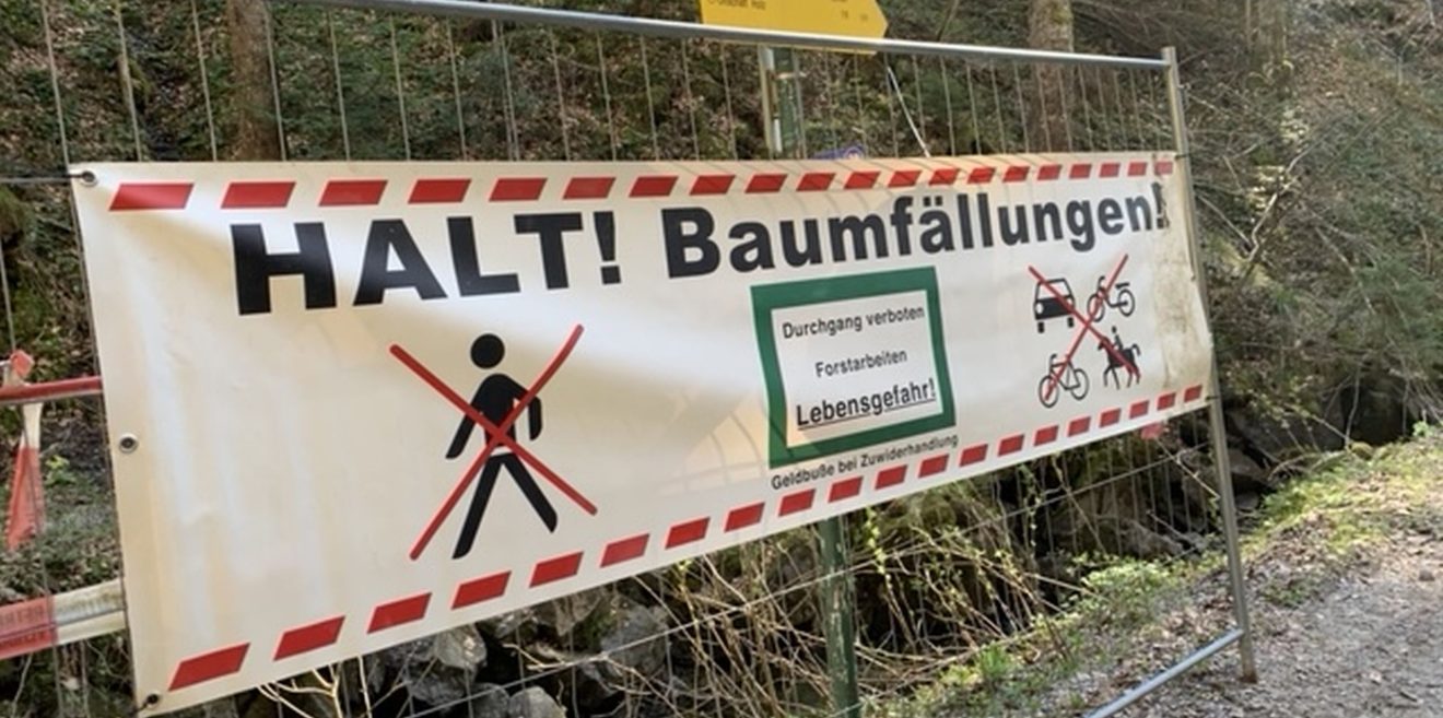 Mitten in der Balz- und Brutzeit Bäume gefällt und gepflanzt