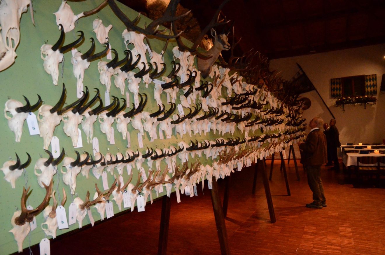 Symbolbild Hegeschau