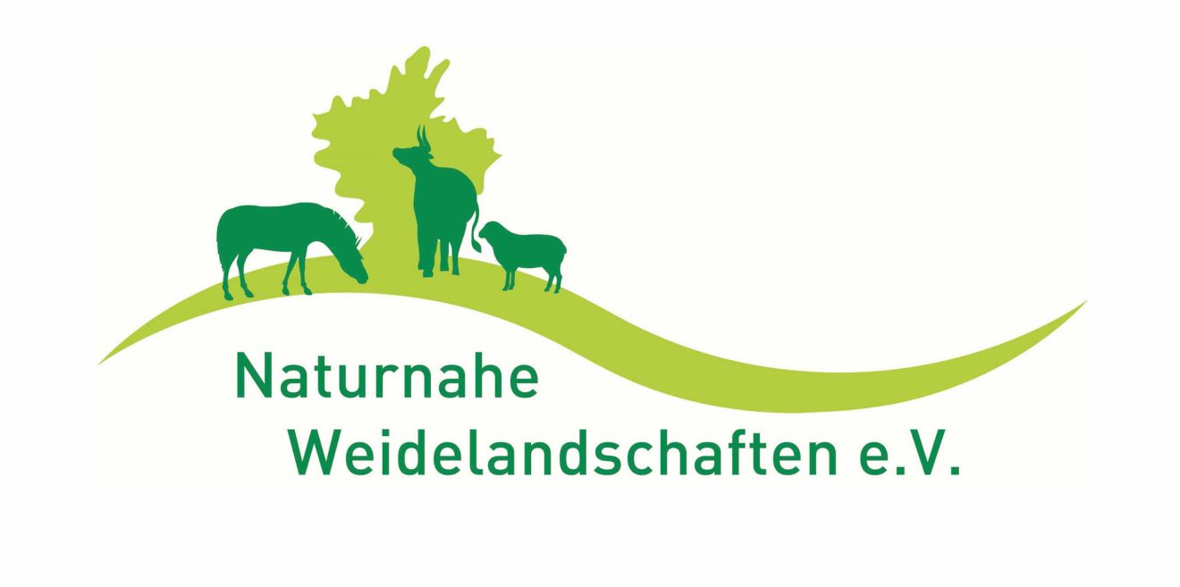 Naturnahe Weidelandschaften - Exkursion zu alten Allmendweidesystemen