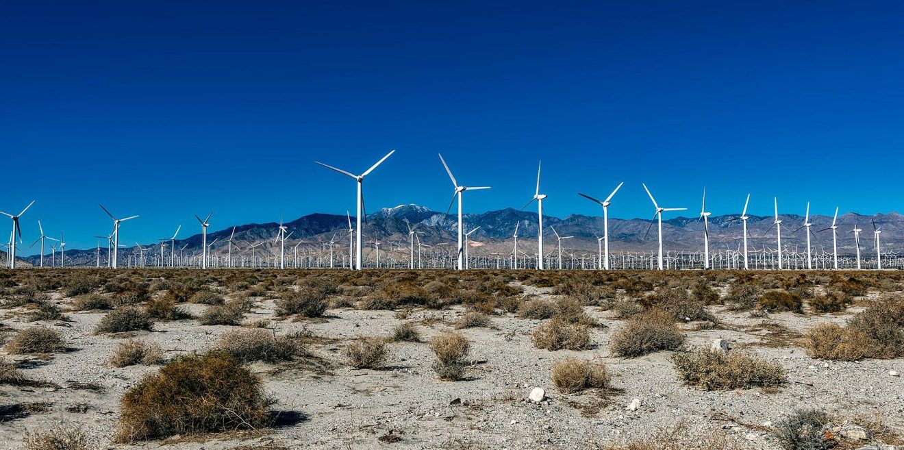 Anlagen für Erneuerbare Energien können Vogelpopulationen schaden