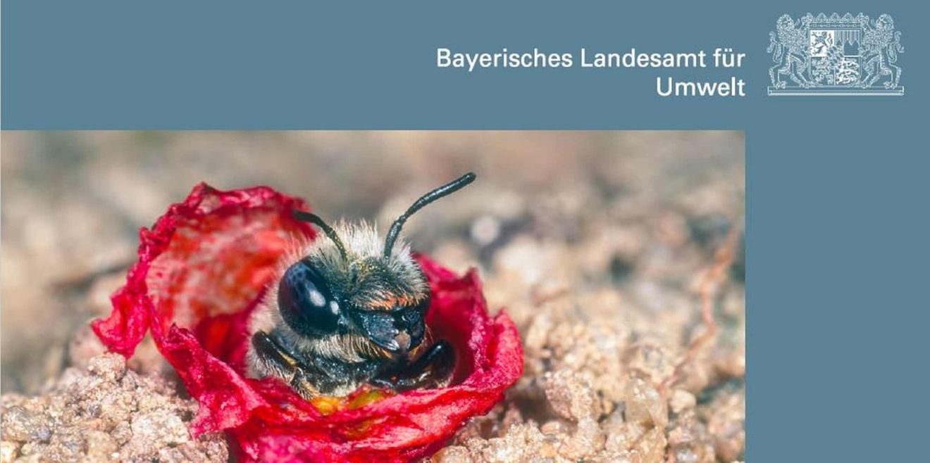 Broschüre fürs Wildbienenparadies vor der Tür