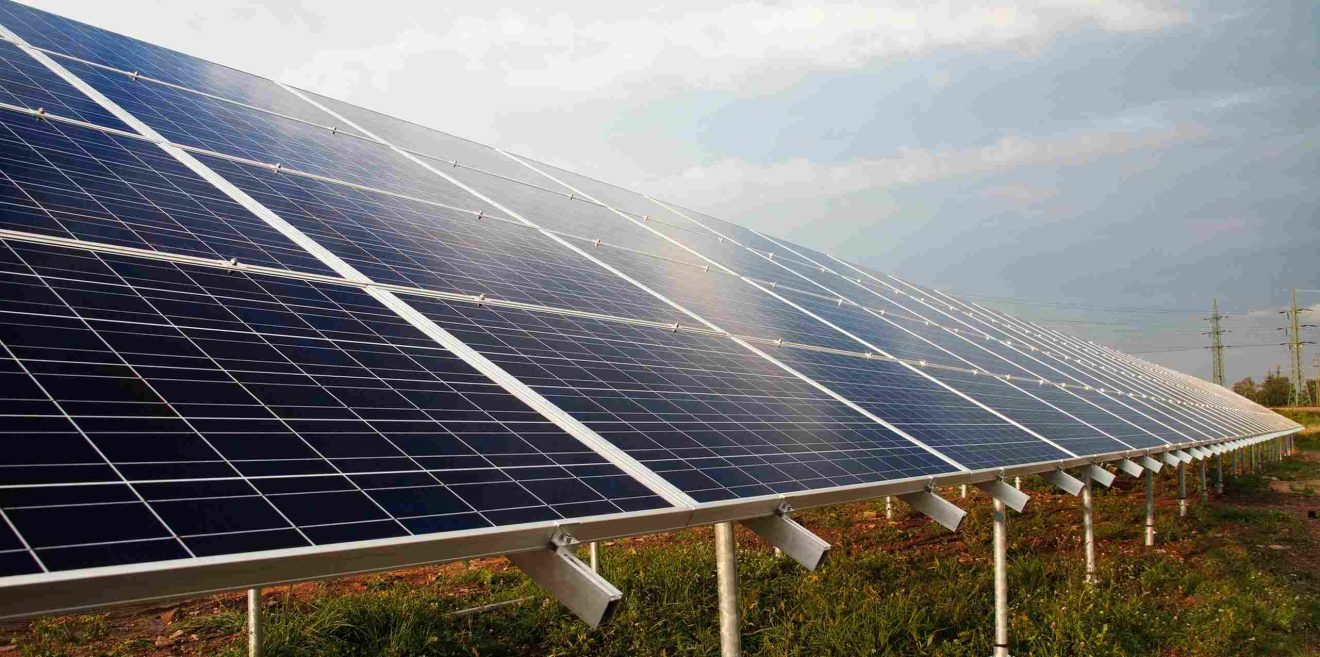 Naturfreundliche Solaranlagen – Tipps zum Schutz der Biodiversität