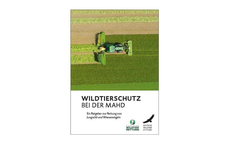 (c)Deutsche Wildtier Stiftung