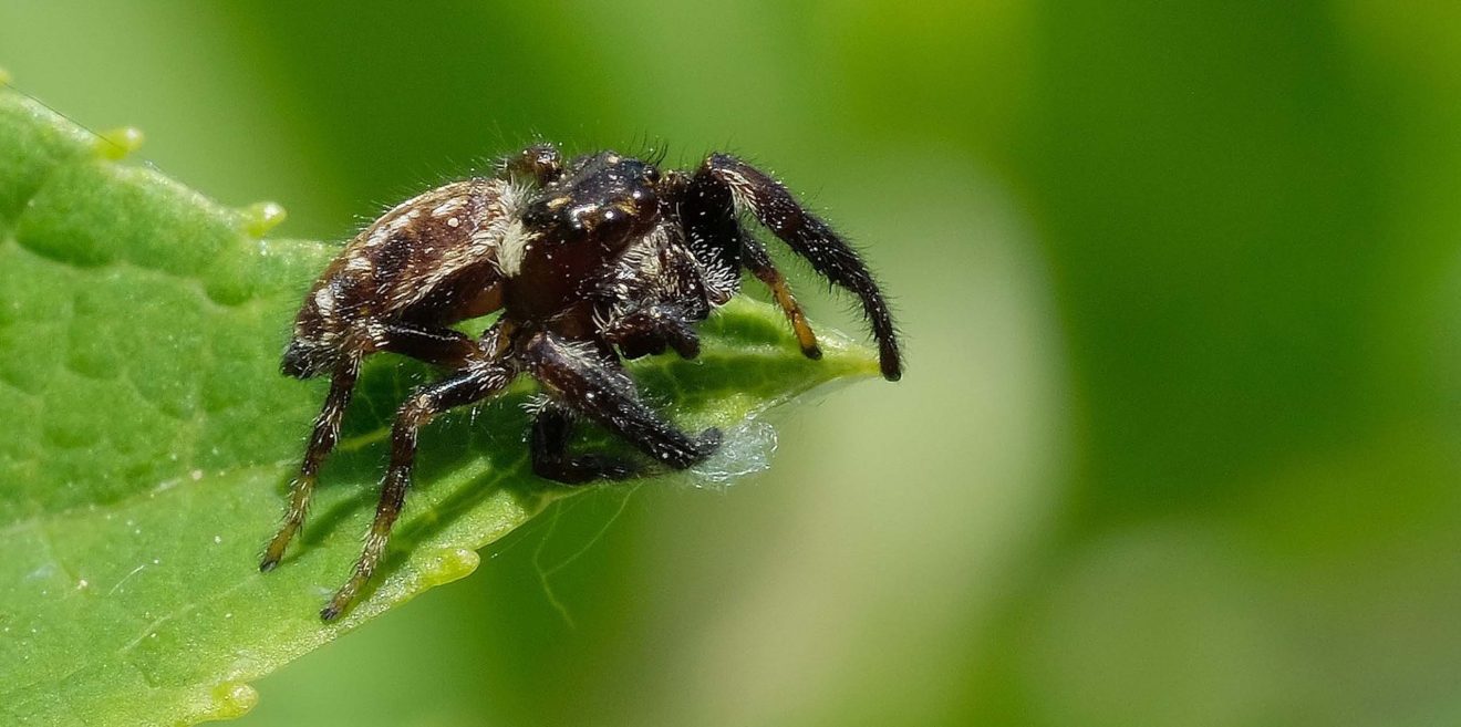 Ja, spinnst Du... fantastische Fotos von Willibald Lang