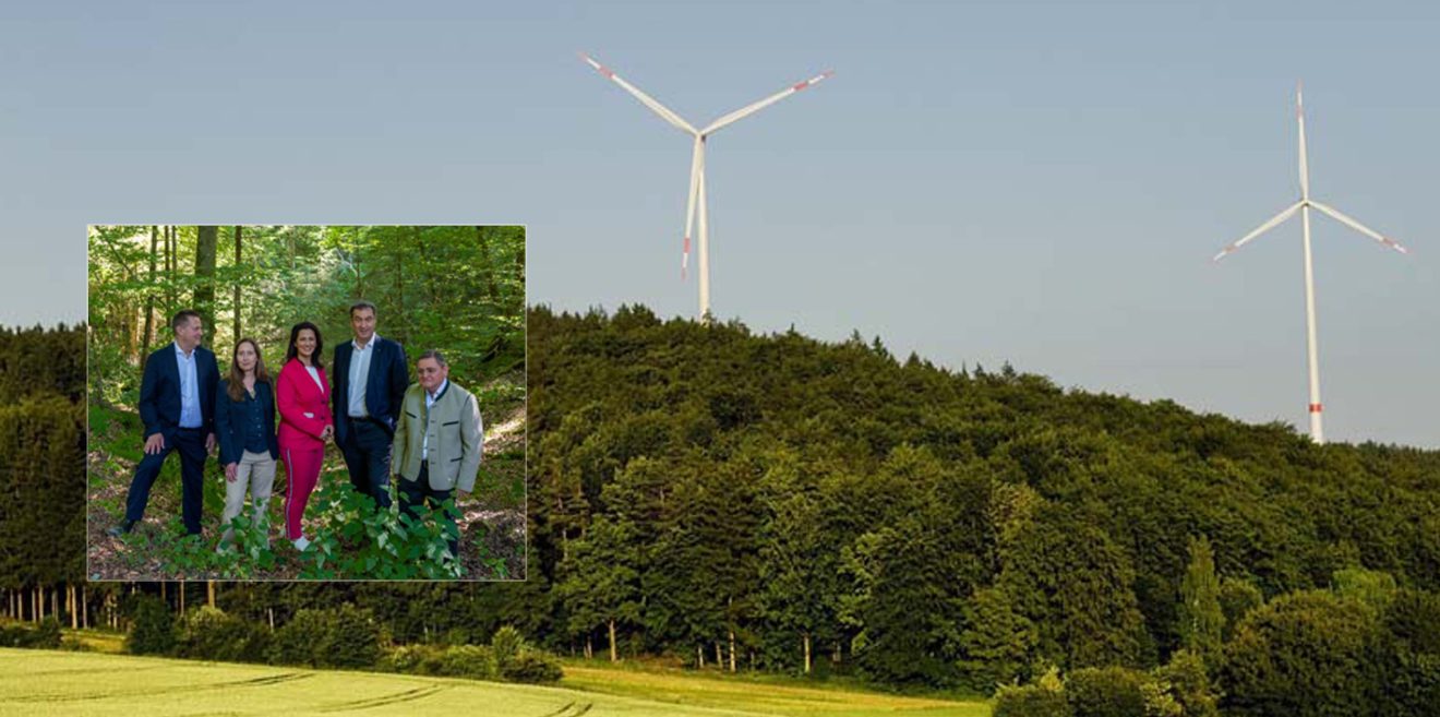 Der Ausverkauf unserer Wälder hat begonnen