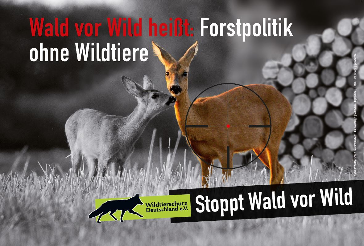 Anzeige mit zwei Rehen, eins davon im Visier, Text: Wald vor Wild heißt: Forstpolitik ohne Wildtiere