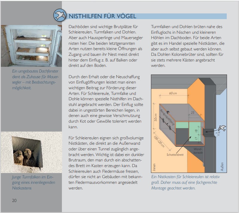 Screenshot einer Seite aus einer Broschüre, die über Nisthilfen am Haus informiert