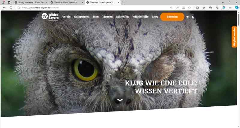 Screenshot der Seite "Themen" von Wildes Bayern de, eine Eule mit zugekniffenem Auge, darüber der Text: Klug wie eine Eule. Wissen vertieft