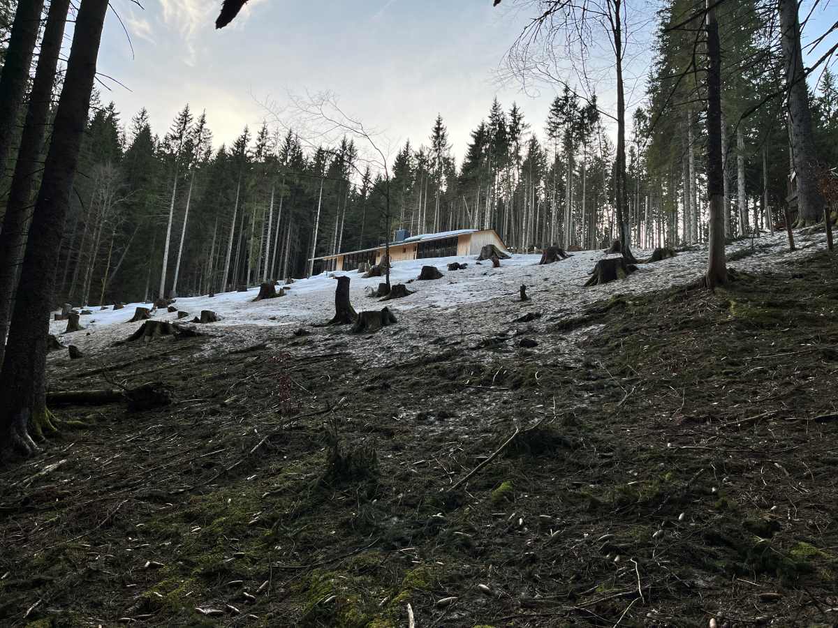 Weiträumig gerodete Fläche im Bergwald, auf der eine Berghütte steht
