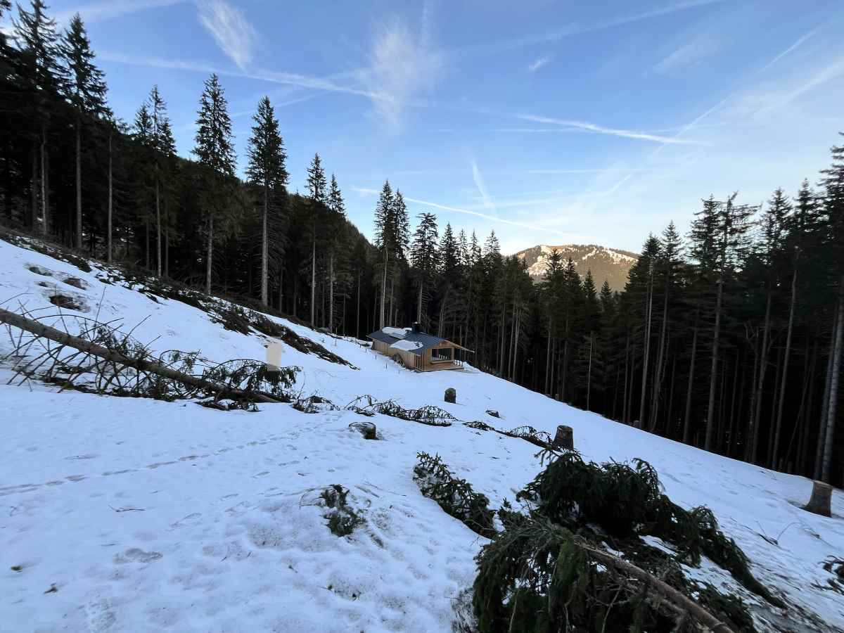 Große Waldlichtung mit moderner, großer Berghütte