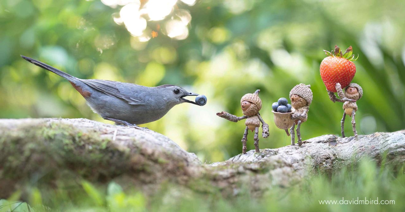 Drei kleine Männchen, gebastelt aus Eicheln, bieten einem Vogel Beeren an