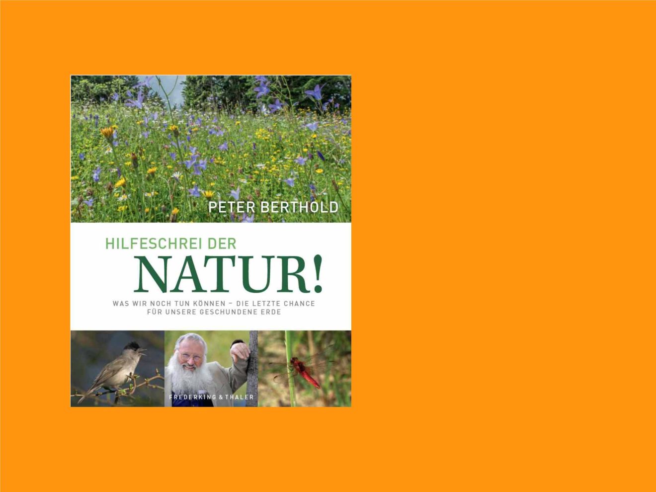 Auf orangefarbenem Hintergrund der Buchtitel von "Hilfeschrei der Natur"
