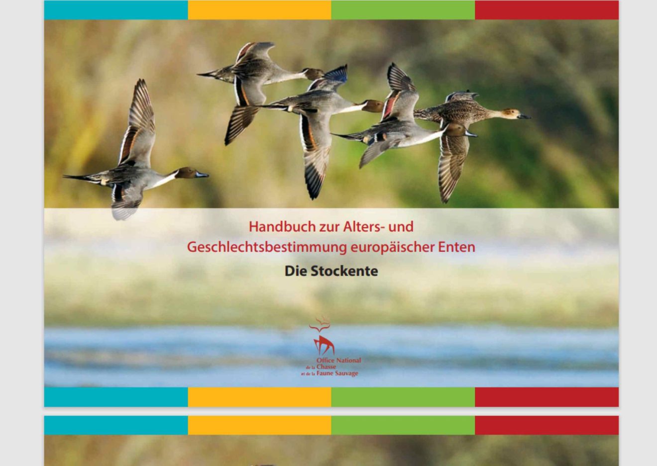 Titel einer Broschüre über die Bestimmung von Enten