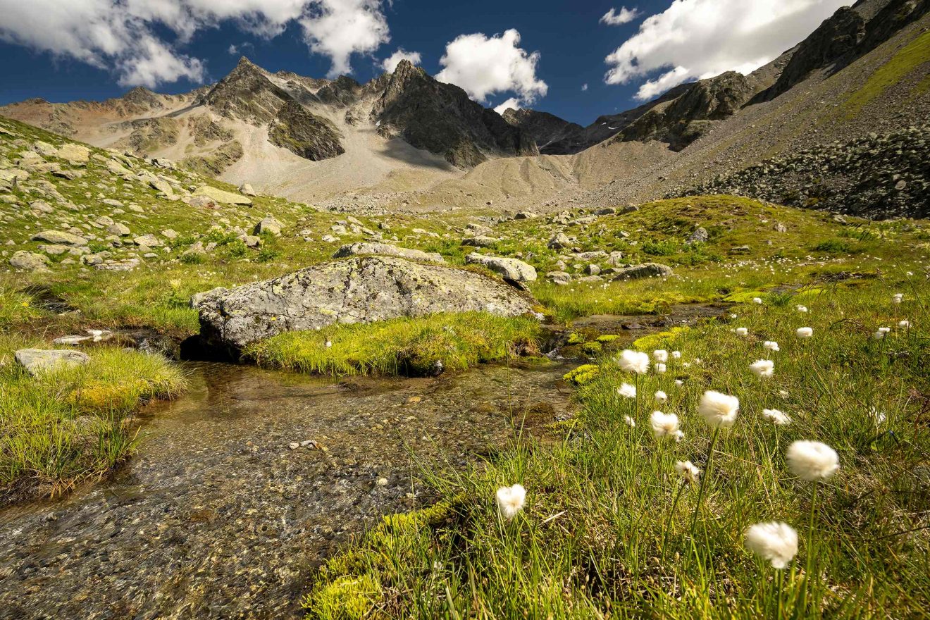 Ein Hochtal im Gebirge mit Gewässern, Blüten und Bergengipfeln