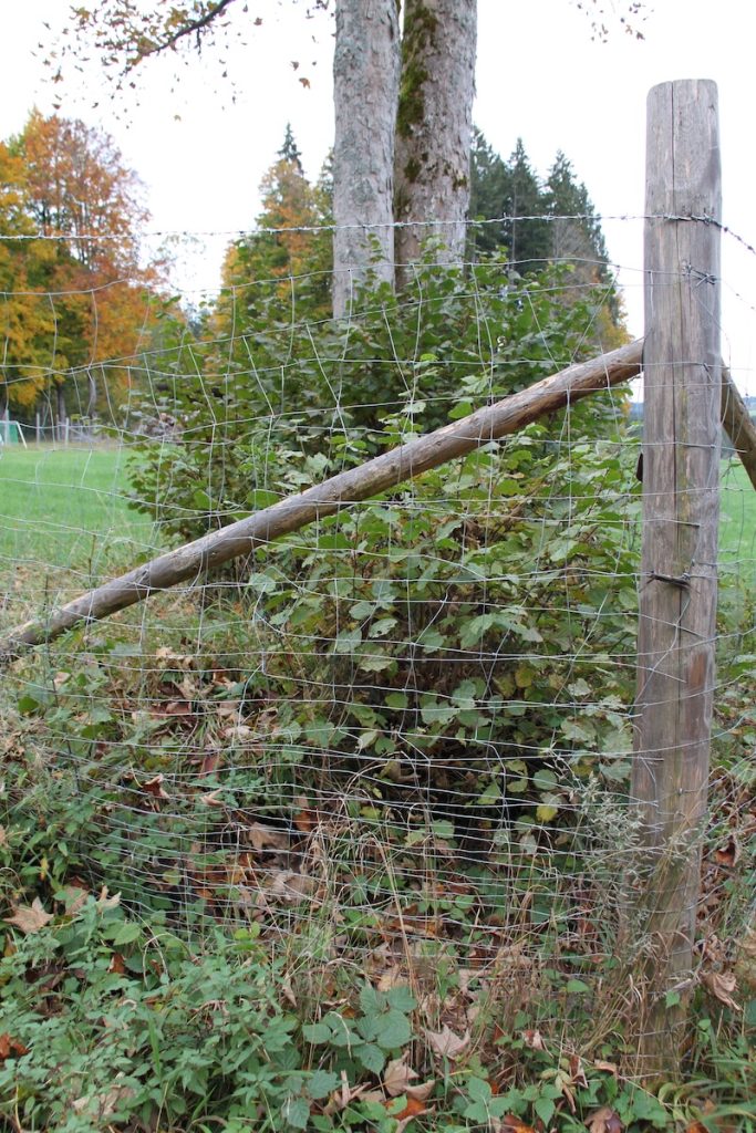 Zaun geflickt/verstärkt 