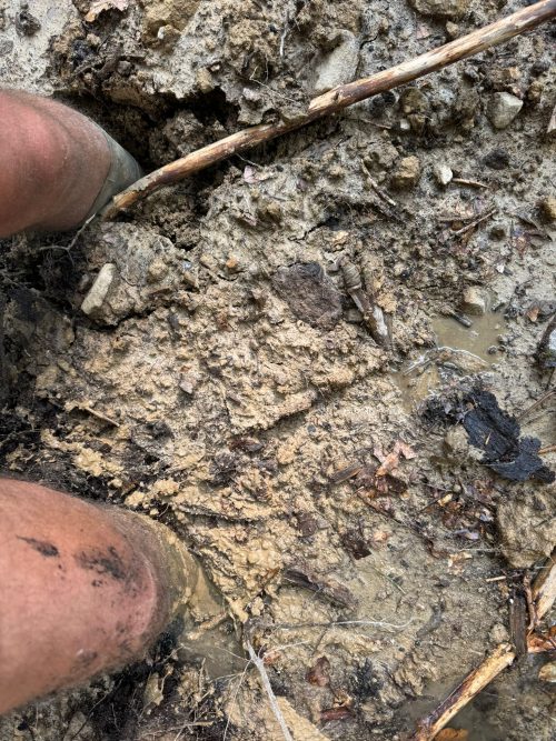 Zwei nackte Beine verschwinden bis zur halben Wadentiefe im Matsch