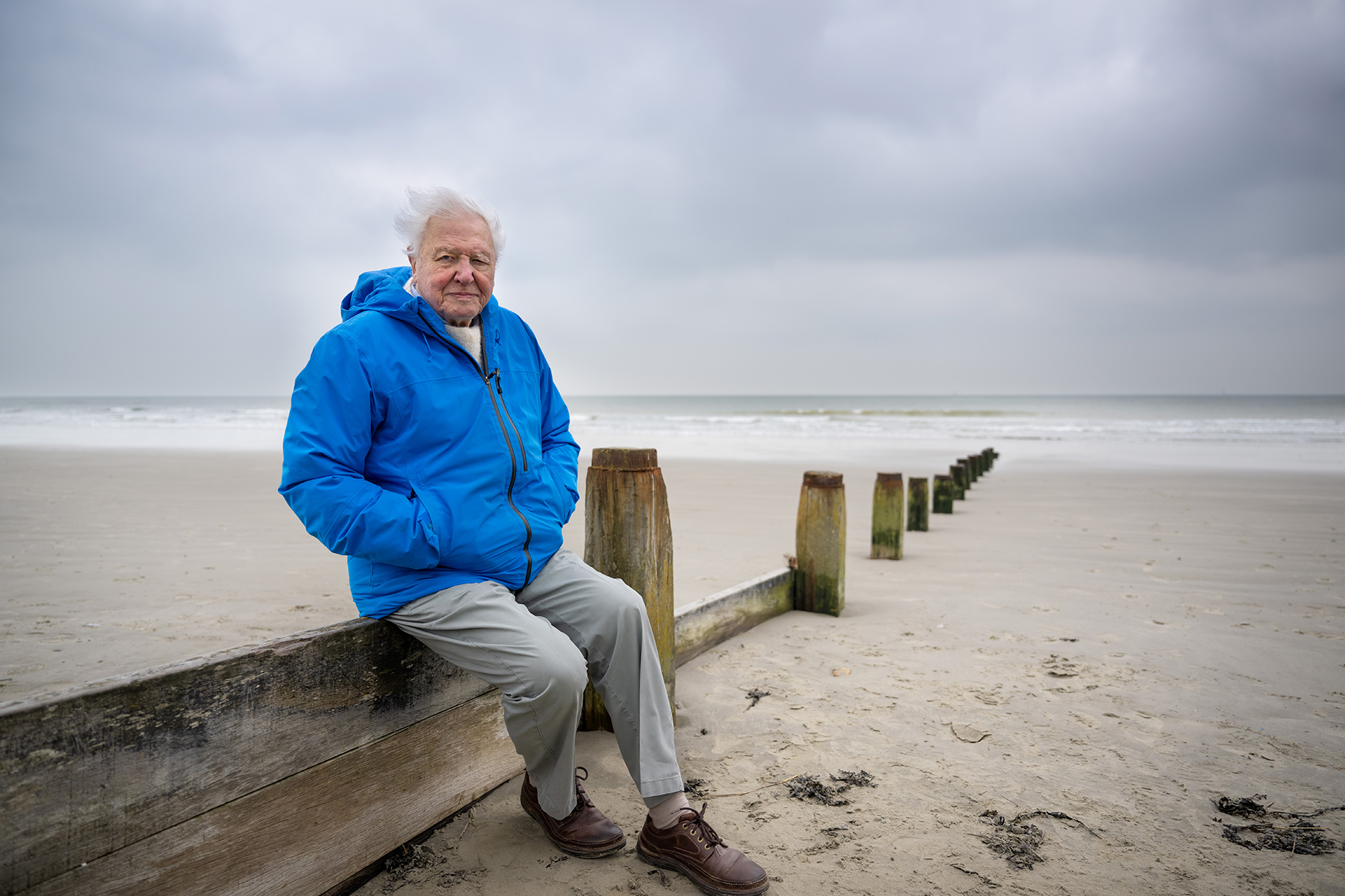 Ein weißhaariger Mann mit blauer Jacke sitzt auf einer Dune am Meer