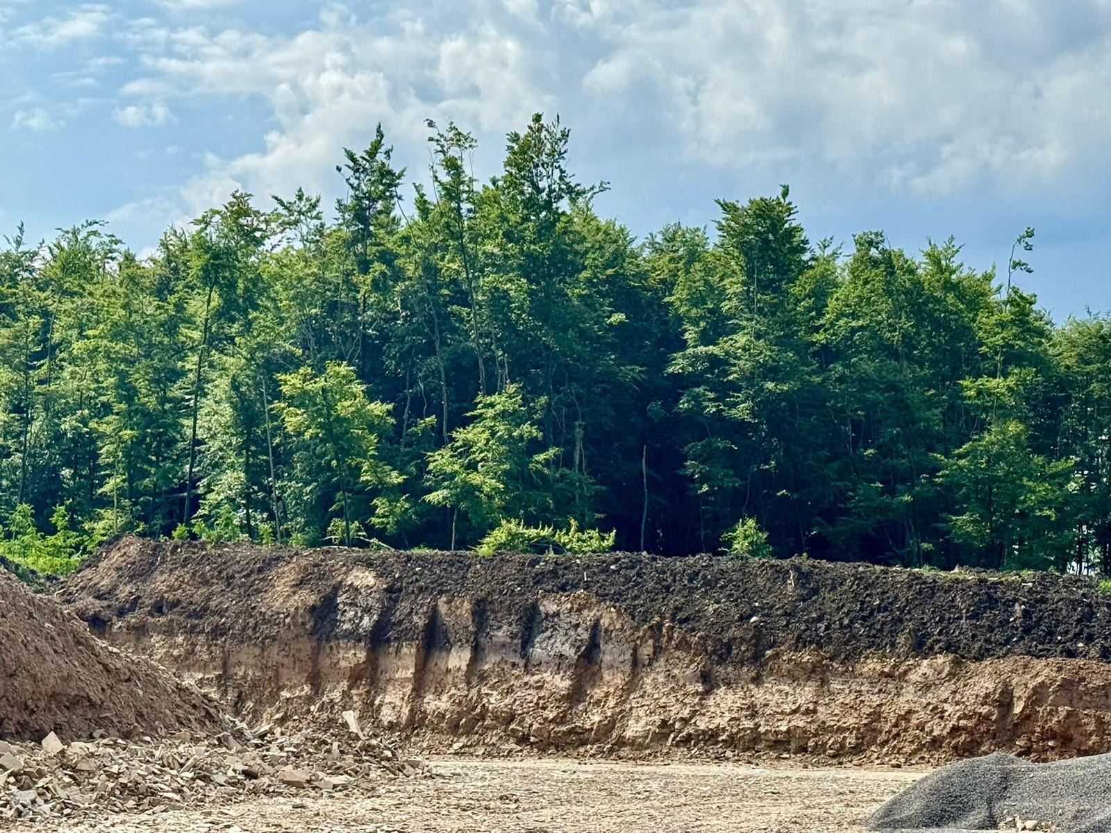 Großbaustelle im Wald