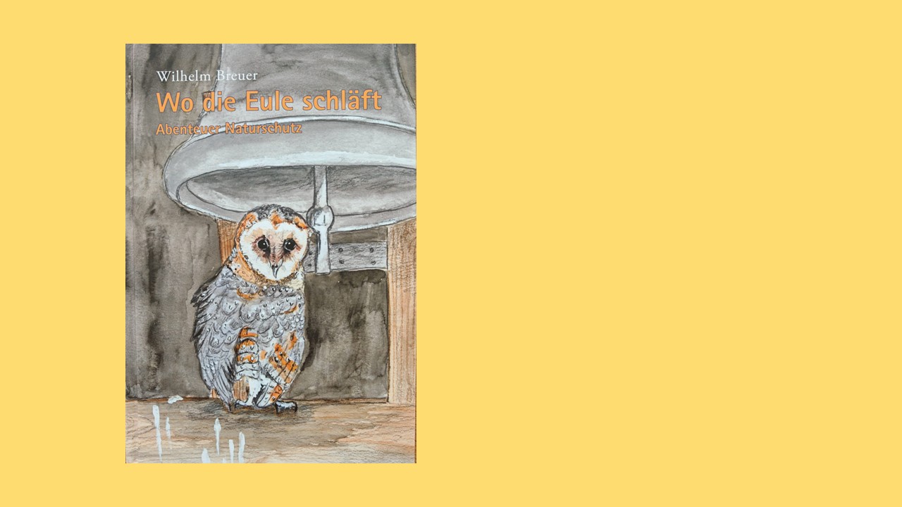 Vor gelbem Hintergrund steht ein graubraunes Buch mit dem Titel "Wo die Eule schläft"