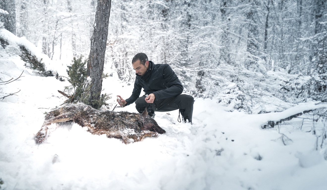 In einem verschneiten Wald betrachtet ein Mann einen verendeten Wolf