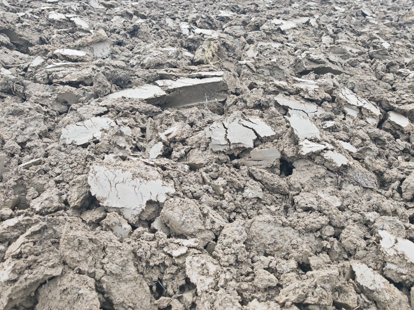 Das gesamte Bild ist ausgefüllt mit aufgeworfenen Bodenschollen nach dem Pflügen