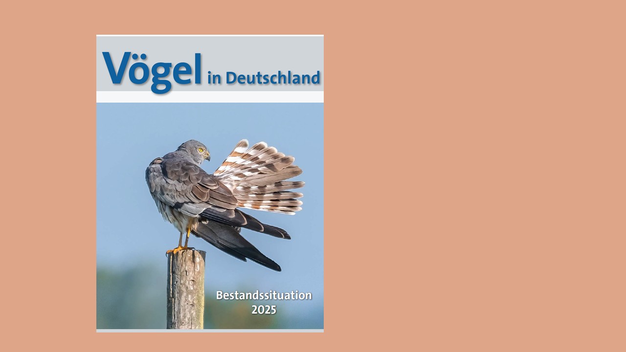 Vor braunem Hintergrund ein blaues Buch mit einem Vogel darauf und dem Titel "Vögel in Deutschland"