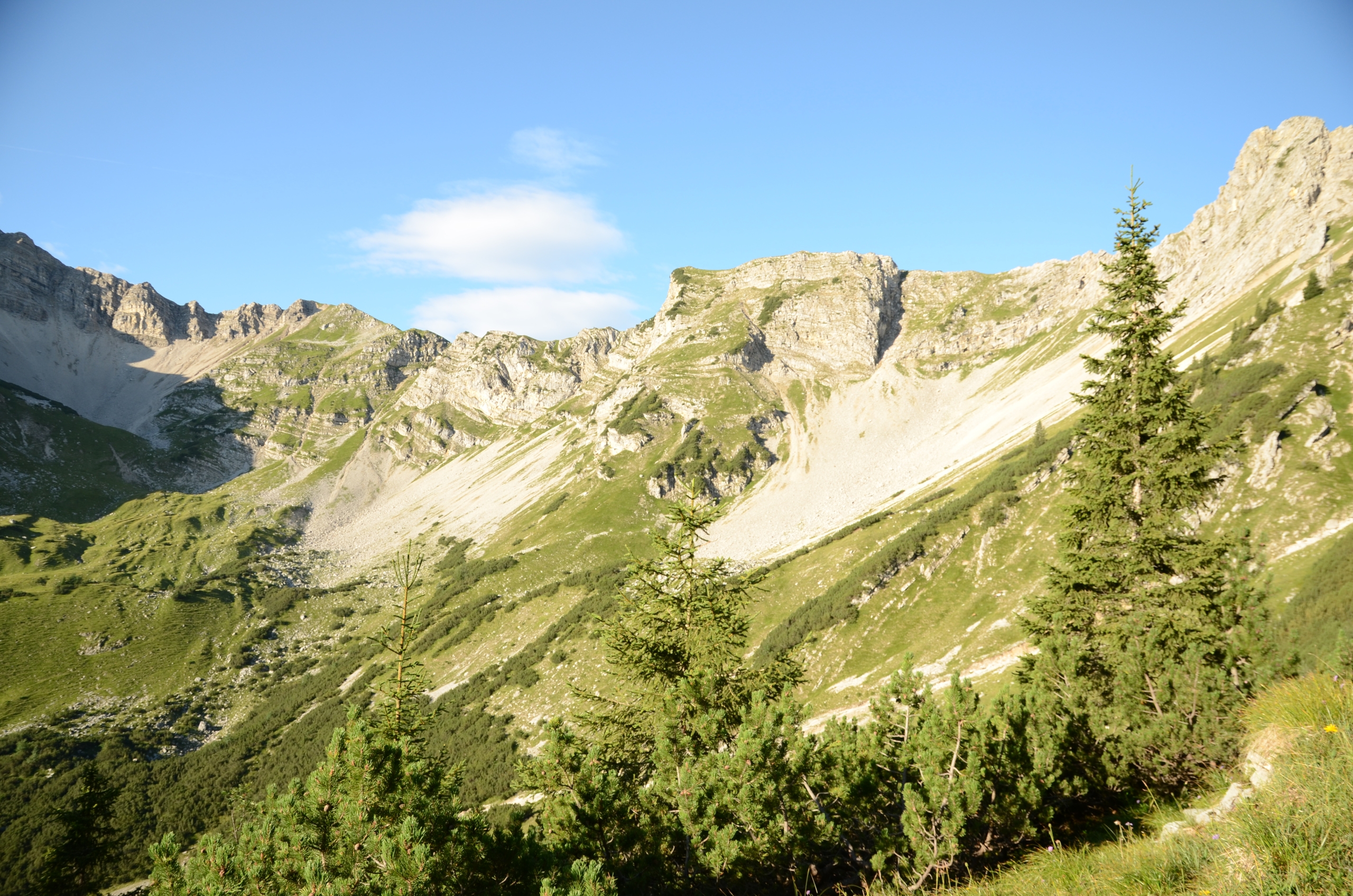 Foto einer Bergflanke, die oben kahl, nach unten hin dann immer mehr begrünt ist bis hin zu Latschen und Fichten