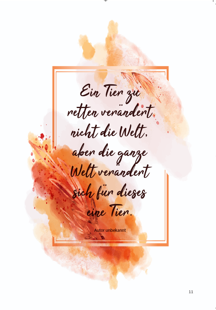 Auf einer weißen Seite ein roter Rahmen und ein abstraktes rotes Aquarell sowie ein kurzer Text im Rahmen