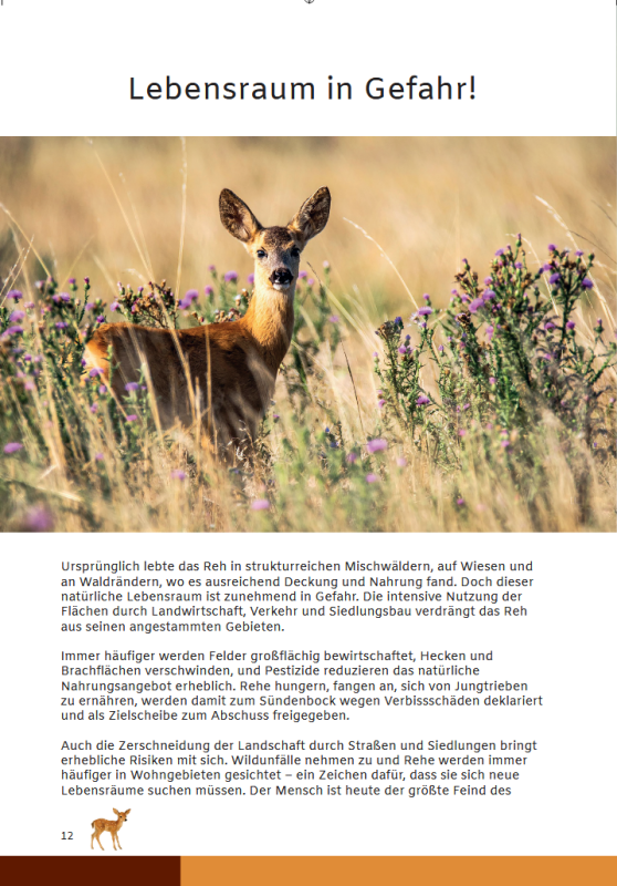 Seite aus einem Buch mit Text und einem Foto von Rehen in einem Feld