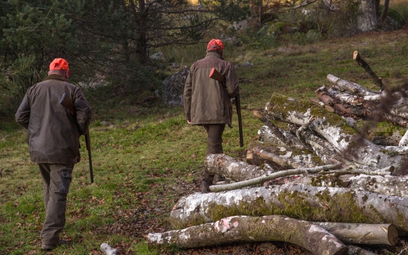 Zwei Männer in jagdlicher grüner Kleidung mit roten Caps und Waffen unter dem Arm gehen vom Betrachter weg in einen Wald