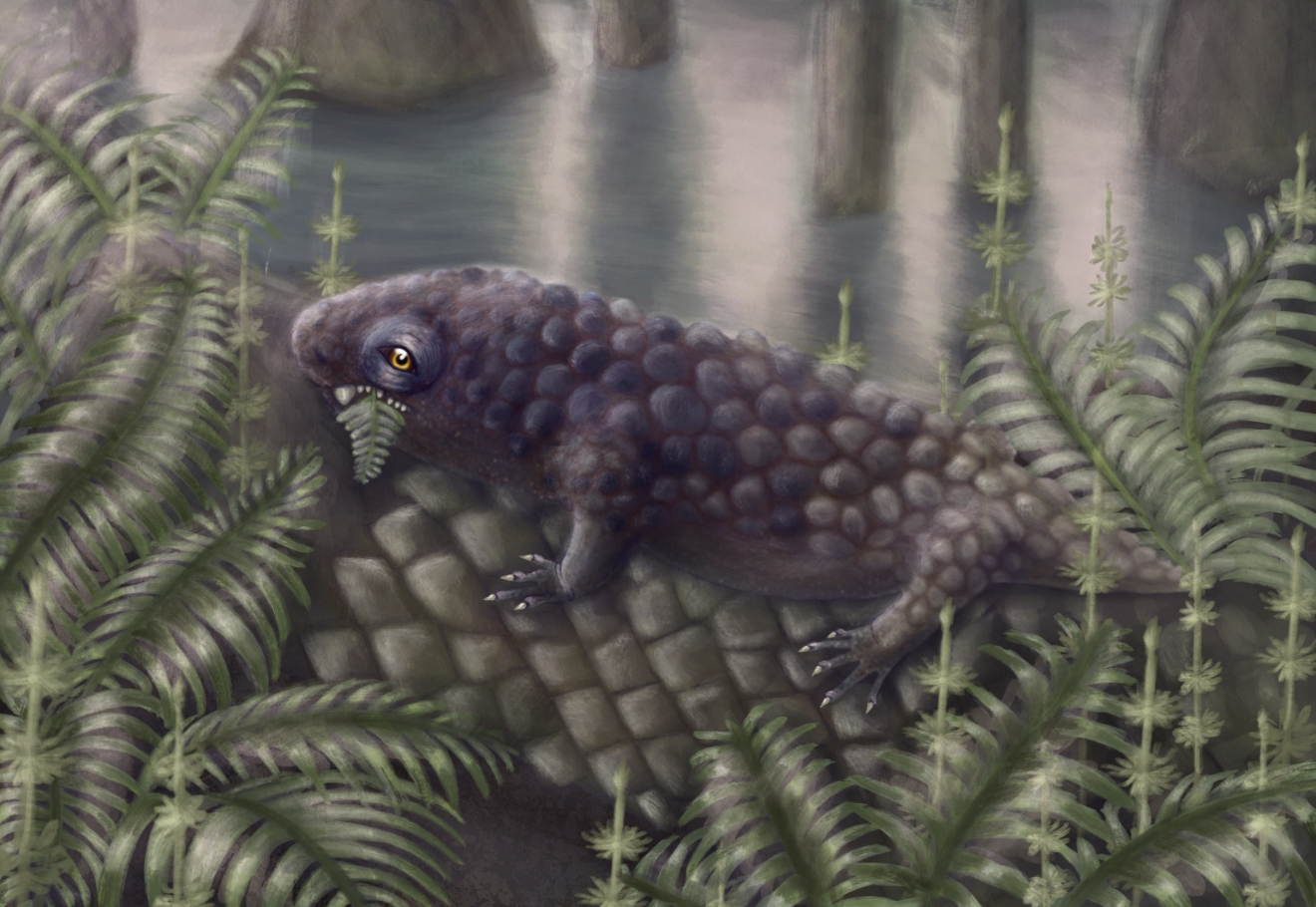 Zeichnung eines reptilienartigen Sauriers