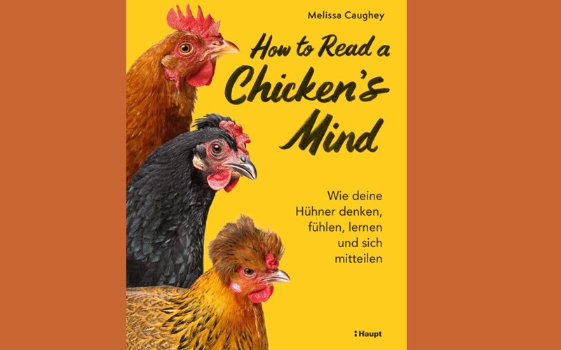 Vor braunem Hintergrund ein gelber Buchtitel mit drei Hühnern und dem Text: 