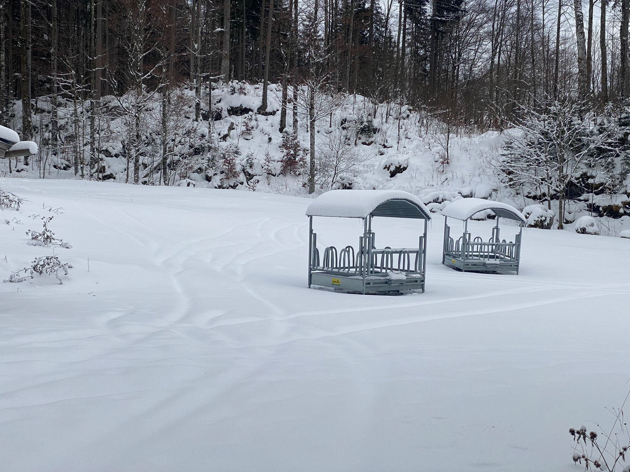 Auf einer verschneiten Fläche vor einem Wald stehen leere metallene Futtercontainer