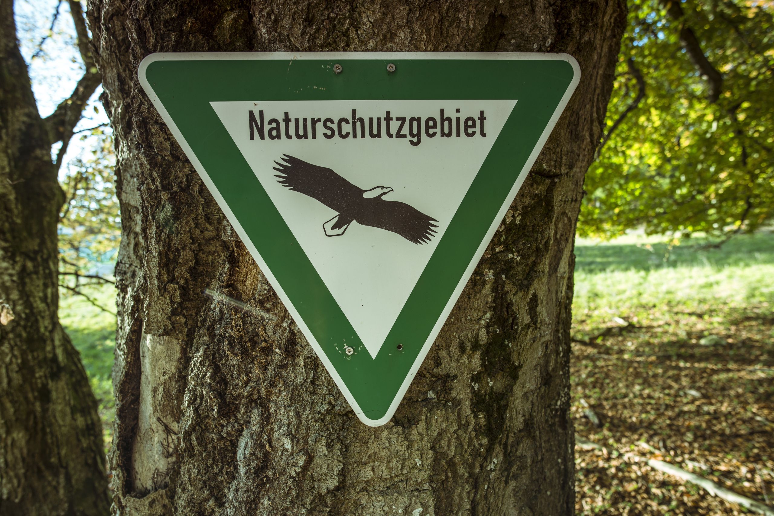 An einem mitteldicken Baum hängt ein dreieckiges Metallschild mit grünem Rand und der Schrift "Naturschutzgebiet" sowie einem symbolischen Adler